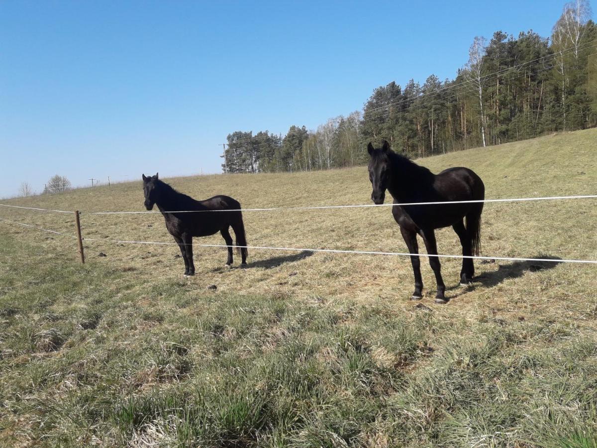 Apartamenty Lubiewo Mikołajki Eksteriør billede